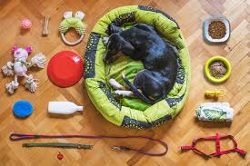 🐾 Pet Essentials